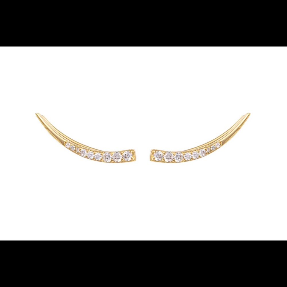 NWT UNCOMMON JAMES | sail ear earrings